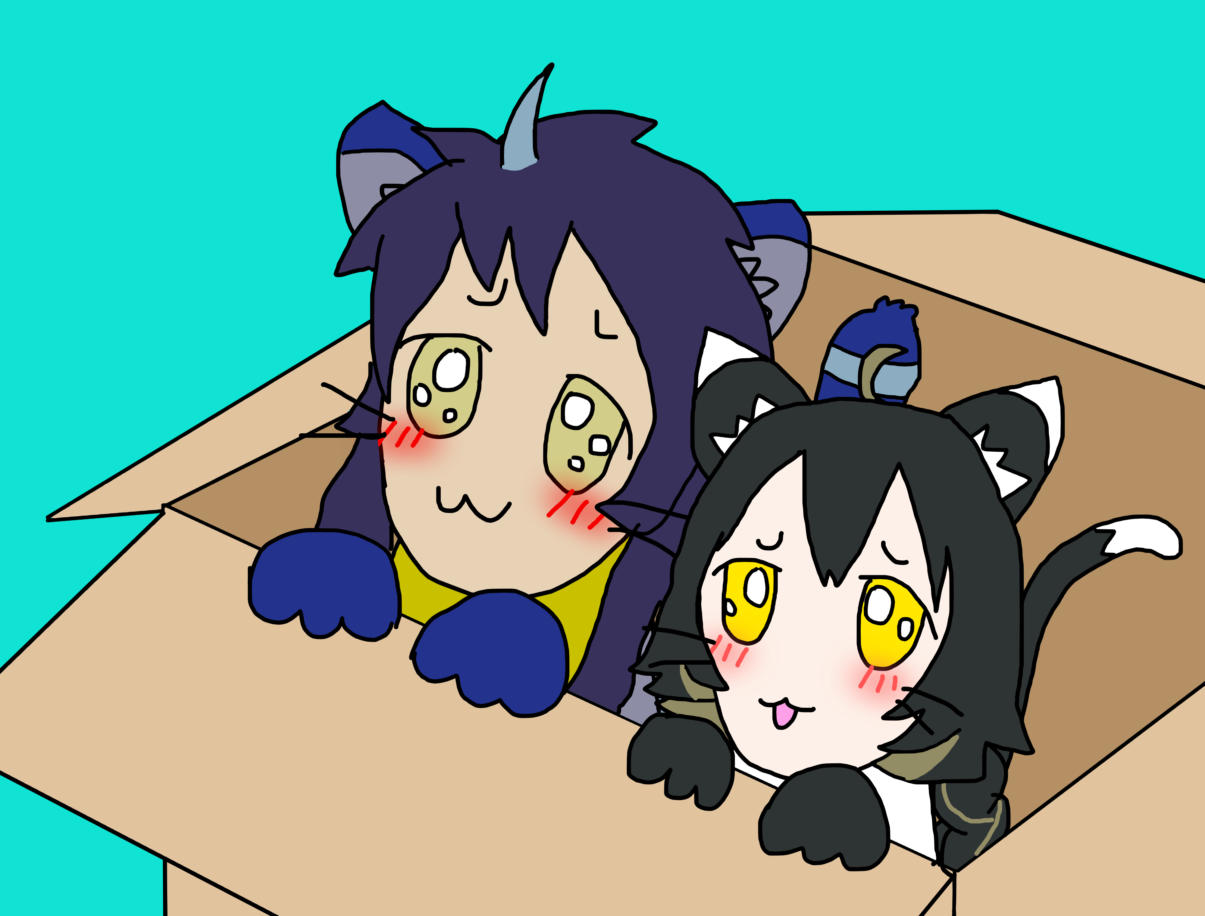 Cathal and Caitie Sith in a cardboard box.